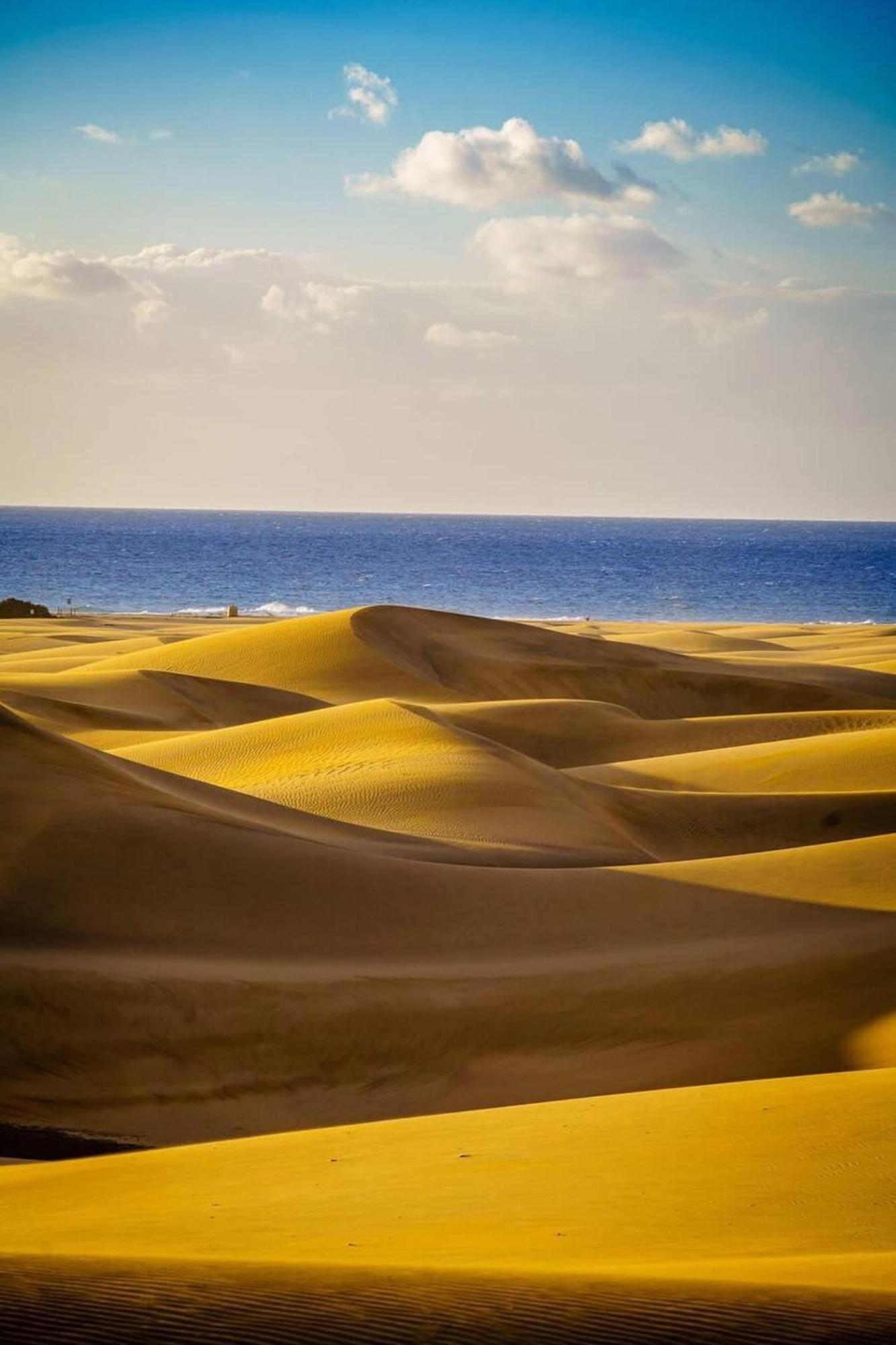 Apartamento Sol Y Mar Dunas